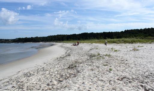 Photo #6 of COBBS STATION RD, CAPE CHARLES, VA 5.4 acres