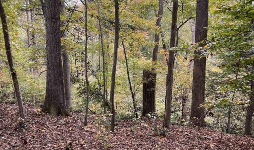 Photo #2 of 14 MECHUNK TER, PALMYRA, VA 1.4 acres