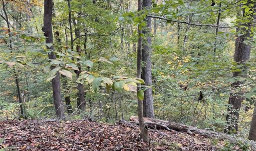Photo #3 of 14 MECHUNK TER, PALMYRA, VA 1.4 acres