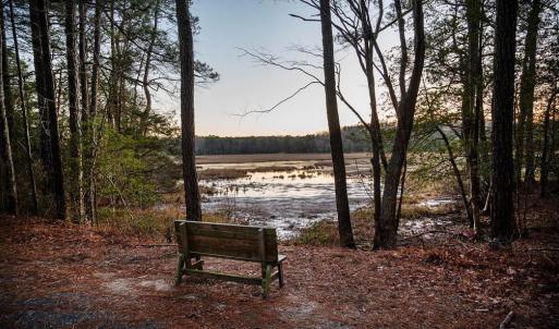 Photo #15 of Lot 1271 CAPTAINS CORRIDOR, GREENBACKVILLE, VA 9.0 acres