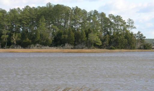Photo #11 of 143 acre RIVERS EDGE WAY, QUINBY, VA 143.0 acres