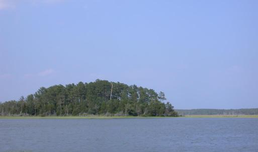 Photo #12 of 143 acre RIVERS EDGE WAY, QUINBY, VA 143.0 acres