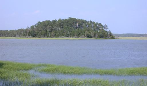 Photo #5 of 143 acre RIVERS EDGE WAY, QUINBY, VA 143.0 acres