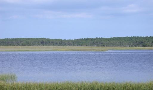 Photo #9 of 143 acre RIVERS EDGE WAY, QUINBY, VA 143.0 acres