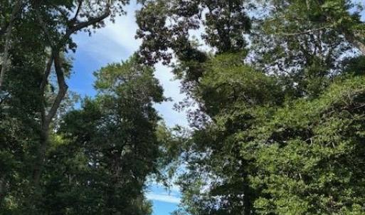 Photo #9 of 7T HUNGARS POINT, MACHIPONGO, VA 6.5 acres