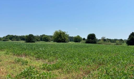 Photo #3 of 7T HUNGARS POINT, MACHIPONGO, VA 6.5 acres