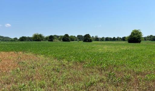 Photo #6 of 7T HUNGARS POINT, MACHIPONGO, VA 6.5 acres