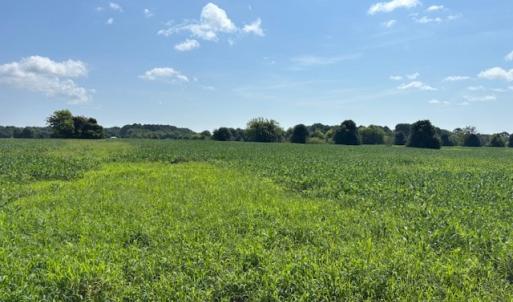 Photo #5 of 7T HUNGARS POINT, MACHIPONGO, VA 6.5 acres