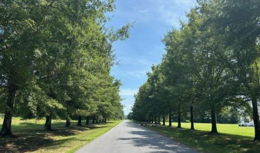 Photo #22 of 7T HUNGARS POINT, MACHIPONGO, VA 6.5 acres