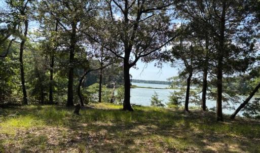 Photo #7 of 7T HUNGARS POINT, MACHIPONGO, VA 6.5 acres