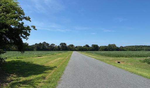 Photo #11 of 8T HUNGARS POINT, MACHIPONGO, VA 8.1 acres