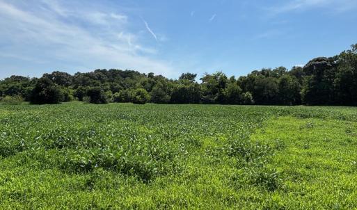 Photo #13 of 8T HUNGARS POINT, MACHIPONGO, VA 8.1 acres