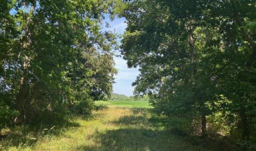 Photo #15 of 8T HUNGARS POINT, MACHIPONGO, VA 8.1 acres