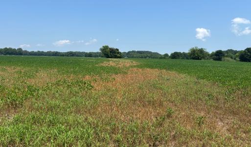Photo #9 of 8T HUNGARS POINT, MACHIPONGO, VA 8.1 acres