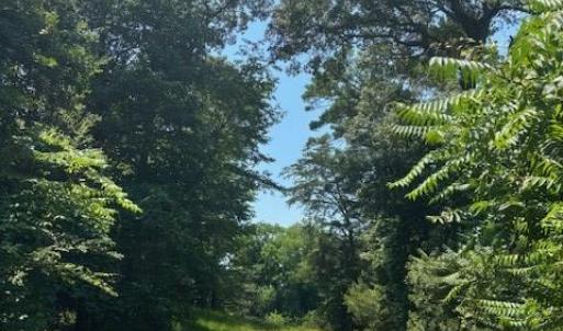 Photo #10 of 8T HUNGARS POINT, MACHIPONGO, VA 8.1 acres