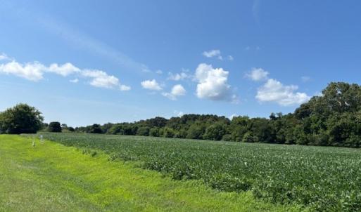 Photo #12 of 8T HUNGARS POINT, MACHIPONGO, VA 8.1 acres