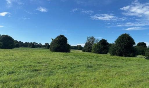 Photo #15 of 8T HUNGARS POINT, MACHIPONGO, VA 8.1 acres