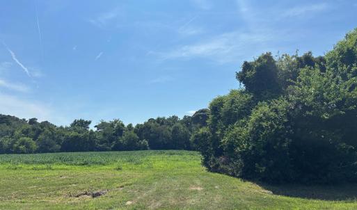Photo #18 of 8T HUNGARS POINT, MACHIPONGO, VA 8.1 acres