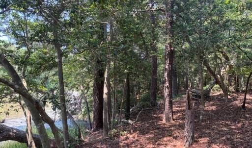Photo #7 of 8T HUNGARS POINT, MACHIPONGO, VA 8.1 acres