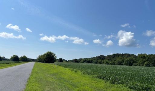 Photo #11 of 8T HUNGARS POINT, MACHIPONGO, VA 8.1 acres