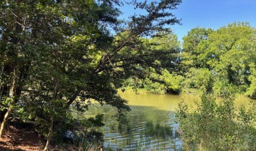 Photo #5 of 8T HUNGARS POINT, MACHIPONGO, VA 8.1 acres