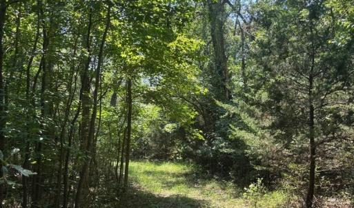 Photo #9 of 8T HUNGARS POINT, MACHIPONGO, VA 8.1 acres