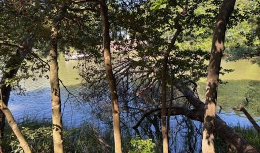 looking across the creek