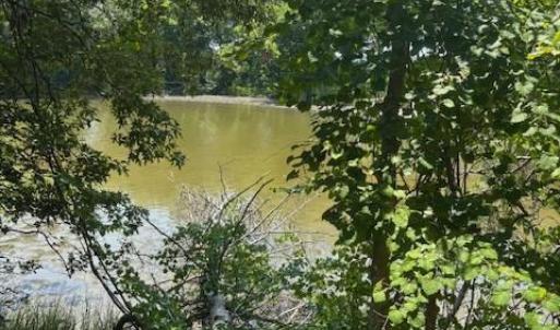 looking across the creek