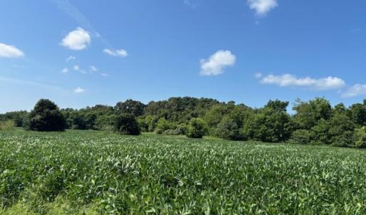 Photo #15 of 8T HUNGARS POINT, MACHIPONGO, VA 8.1 acres