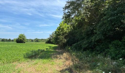 Photo #25 of 8T HUNGARS POINT, MACHIPONGO, VA 8.1 acres