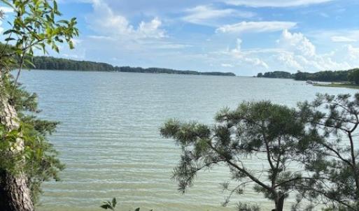 Photo #3 of 8T HUNGARS POINT, MACHIPONGO, VA 8.1 acres