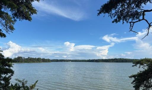 Photo #6 of 8T HUNGARS POINT, MACHIPONGO, VA 8.1 acres