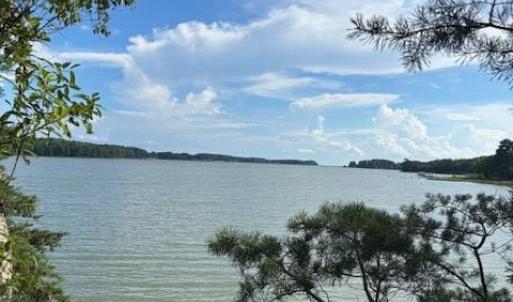 Photo #8 of 8T HUNGARS POINT, MACHIPONGO, VA 8.1 acres