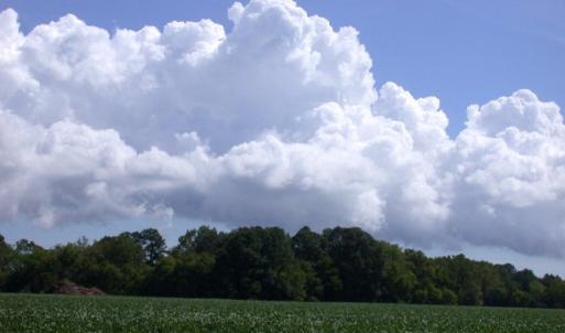 Photo #11 of Lot 17 SHOOTING POINT DR, MACHIPONGO, VA 43.0 acres