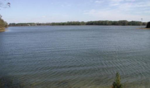 Photo #12 of Lot 17 SHOOTING POINT DR, MACHIPONGO, VA 43.0 acres