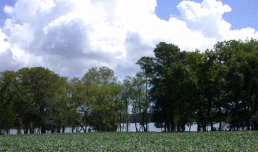 Photo #5 of Lot 17 SHOOTING POINT DR, MACHIPONGO, VA 43.0 acres