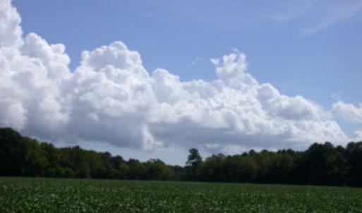 Photo #6 of Lot 17 SHOOTING POINT DR, MACHIPONGO, VA 43.0 acres