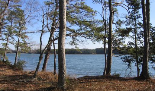 Photo #8 of Lot 17 SHOOTING POINT DR, MACHIPONGO, VA 43.0 acres