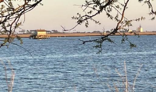 View to Wallops
