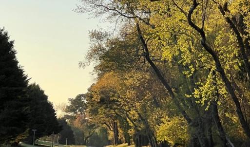 Road to Eagles Sound