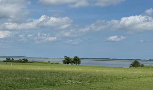 Photo #7 of 21 OYSTER COVE LANE, ATLANTIC, VA 180.0 acres
