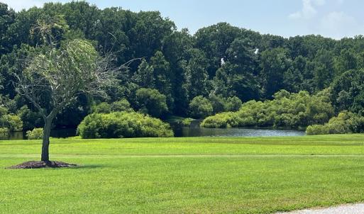 Photo #22 of Lot 14 CORBIN HALL LN, HORNTOWN, VA 150.0 acres