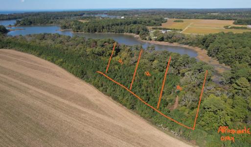 Photo #3 of 4 North Plantation Lane, CAPEVILLE, VA 6.1 acres