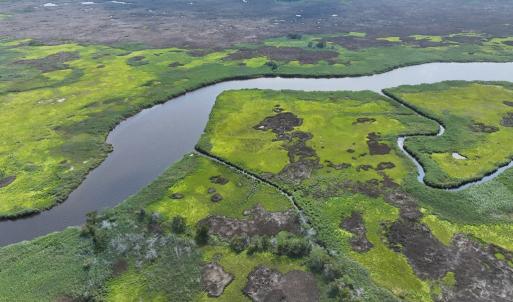 Photo #2 of SAVANNAH RD, TEMPERANCEVILLE, VA 128.2 acres