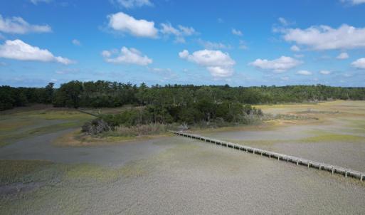 Photo #10 of 20 OYSTER RUN LANE, EASTVILLE, VA 713.0 acres