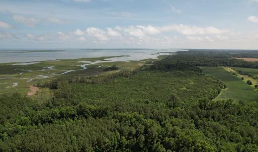 Photo #13 of 20 OYSTER RUN LANE, EASTVILLE, VA 713.0 acres