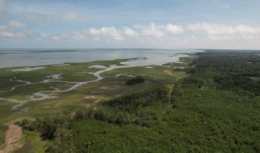 Photo #14 of 20 OYSTER RUN LANE, EASTVILLE, VA 713.0 acres