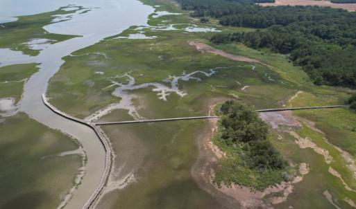 Photo #15 of 20 OYSTER RUN LANE, EASTVILLE, VA 713.0 acres