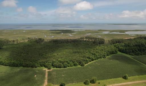 Photo #2 of 20 OYSTER RUN LANE, EASTVILLE, VA 713.0 acres