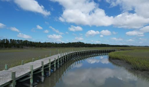 Photo #8 of 20 OYSTER RUN LANE, EASTVILLE, VA 713.0 acres